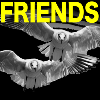 Friends - Full Cover cover